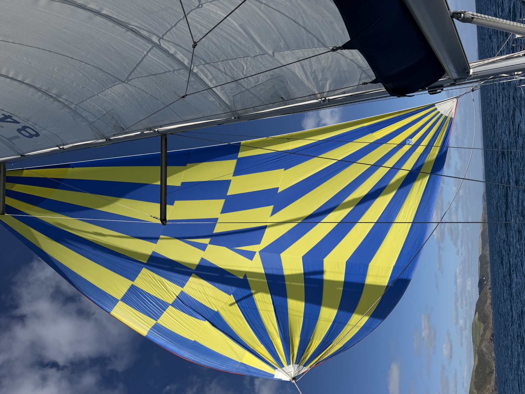 Phoebe Jo’s blue and yellow spinnaker filled with wind beside the mainsail